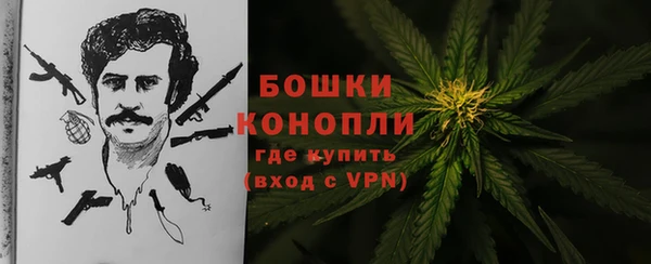 MESCALINE Гусев