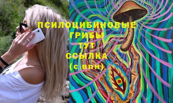 индика Вязьма