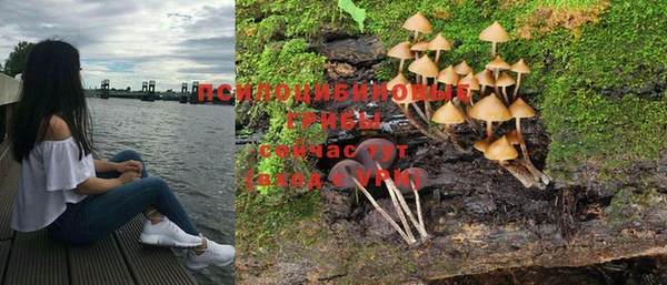 не бодяженный Гусь-Хрустальный